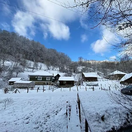 Casa- Viata La Tara Holiday home Bucuresci