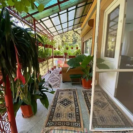 Casa- Viata La Tara Holiday home *