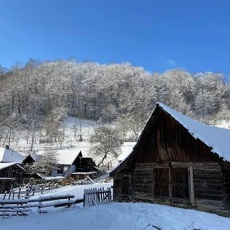 Holiday home Casa- Viata La Tara