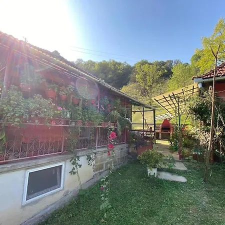 Casa- Viata La Tara Bucuresci