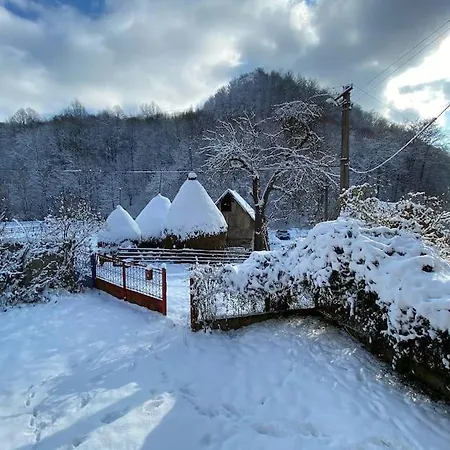 Casa- Viata La Tara *