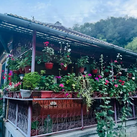 Holiday home Casa- Viata La Tara *